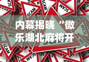 多轮实测 "嘟嘟十三张挂法设置”分享用挂教程