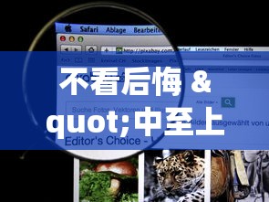 辅助挂机软件“网上打跑得快如何能赢”附开挂脚本详细教程