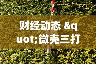 财经动态 "微壳三打哈可以开挂吗	”(透视)其实真的有挂