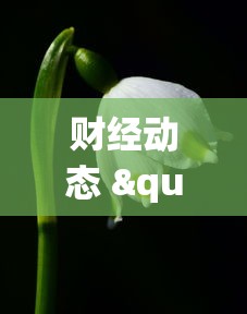 财经动态 "微壳三打哈可以开挂吗”(透视)其实真的有挂