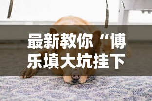 最新教你“博乐填大坑挂下载”详细开挂安装教程