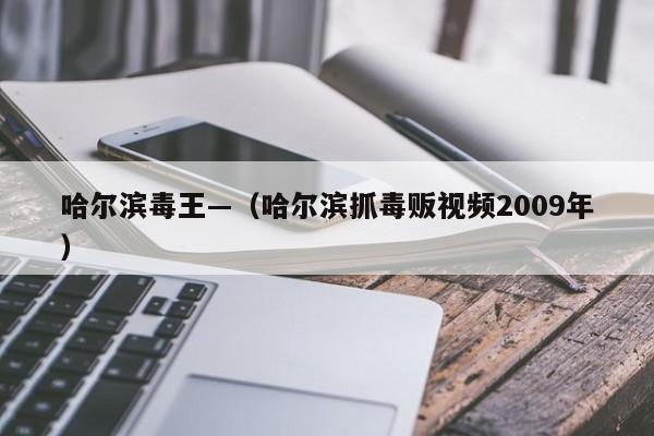 哈尔滨毒王—（哈尔滨抓毒贩视频2009年）