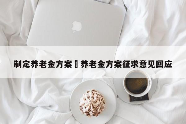 制定养老金方案›养老金方案征求意见回应