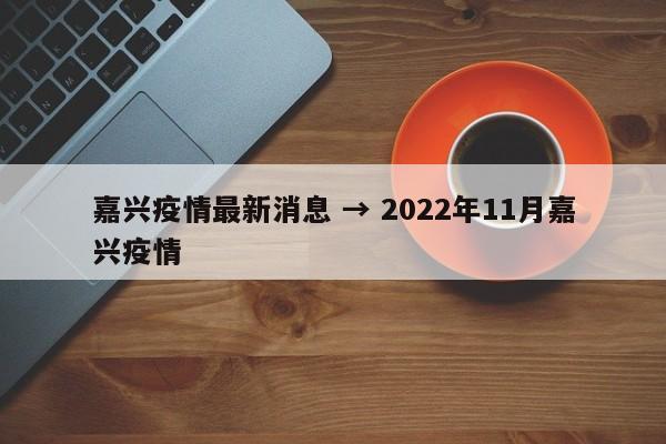 嘉兴疫情最新消息 → 2022年11月嘉兴疫情