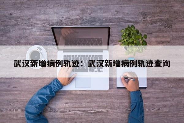 武汉新增病例轨迹：武汉新增病例轨迹查询
