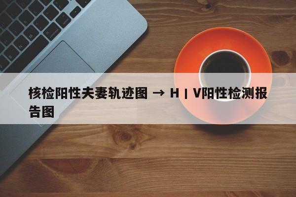 核检阳性夫妻轨迹图 → H丨V阳性检测报告图
