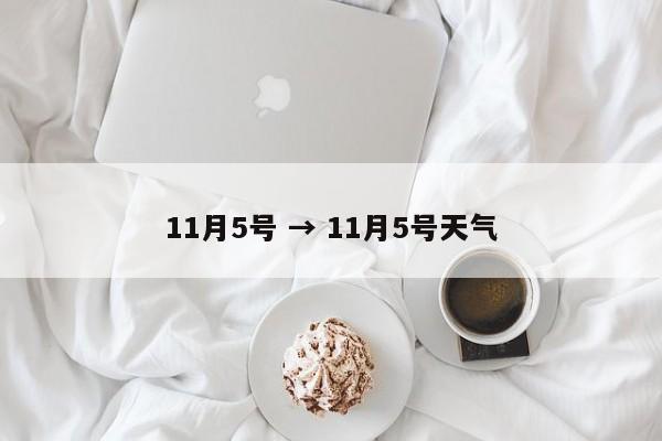 11月5号 → 11月5号天气