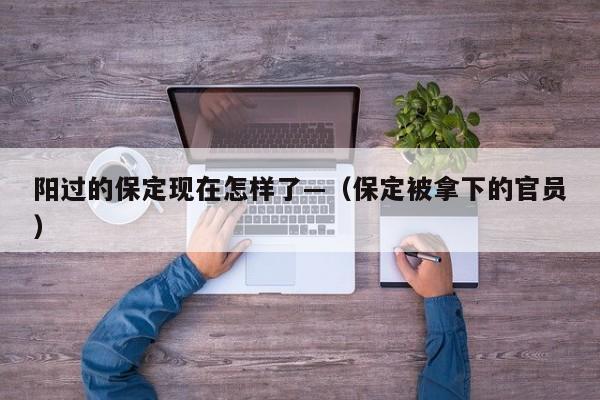 阳过的保定现在怎样了—（保定被拿下的官员）