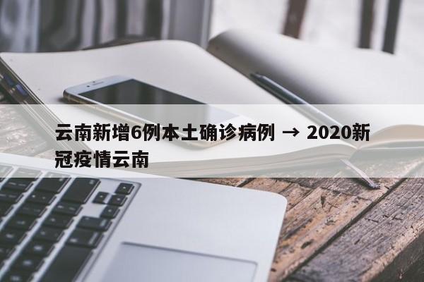 云南新增6例本土确诊病例 → 2020新冠疫情云南