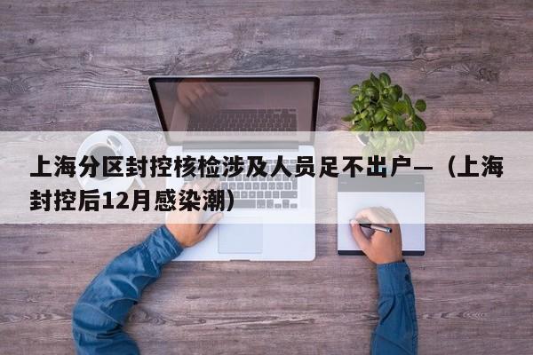 上海分区封控核检涉及人员足不出户—（上海封控后12月感染潮）
