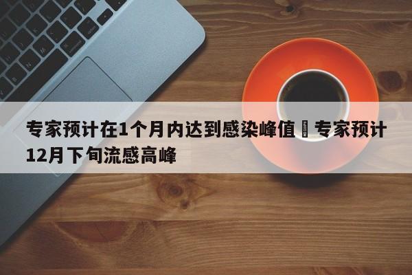 专家预计在1个月内达到感染峰值›专家预计12月下旬流感高峰