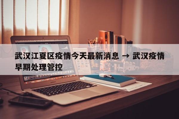武汉江夏区疫情今天最新消息 → 武汉疫情早期处理管控