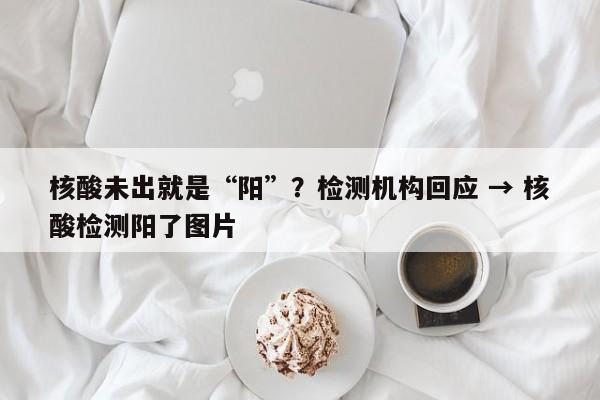 核酸未出就是“阳”？检测机构回应 → 核酸检测阳了图片