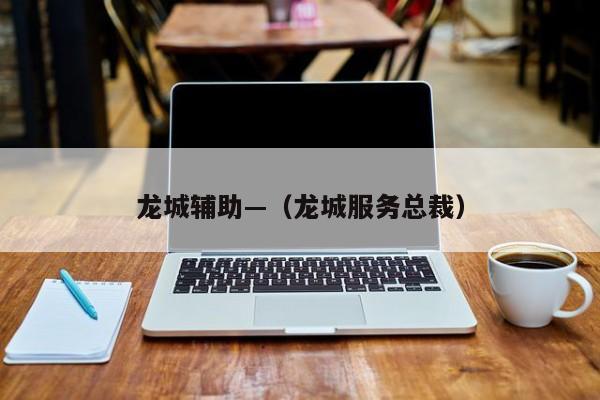 龙城辅助—（龙城服务总裁）
